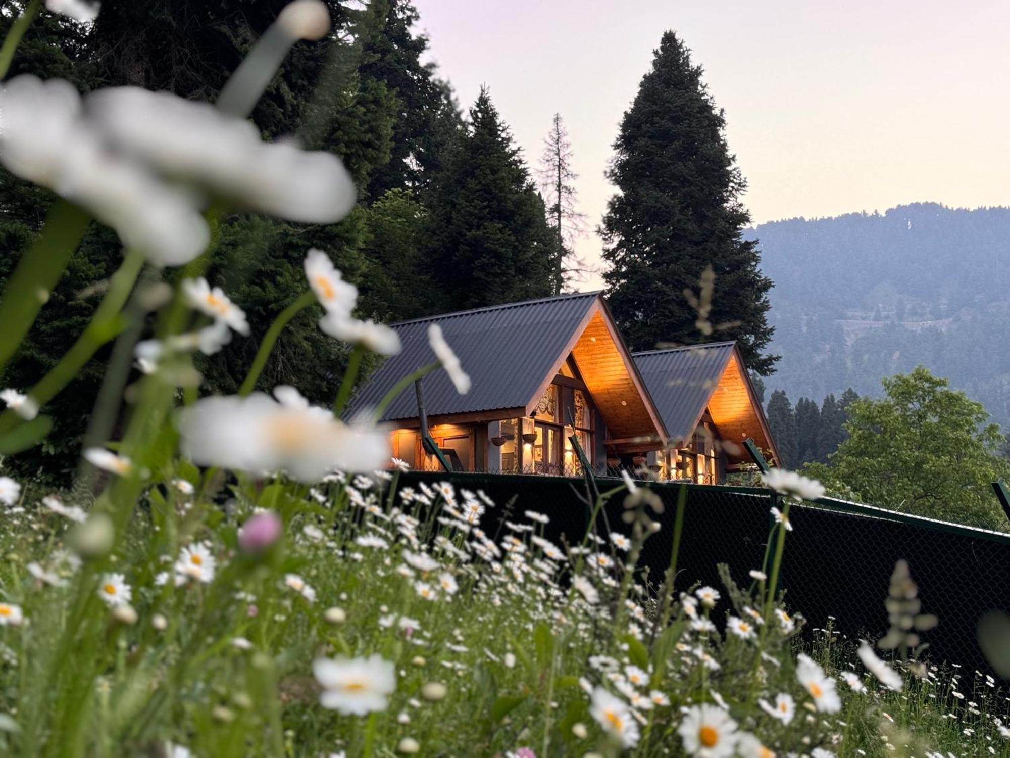 Solomons Gray Villa Tangmarg Eksteriør bilde